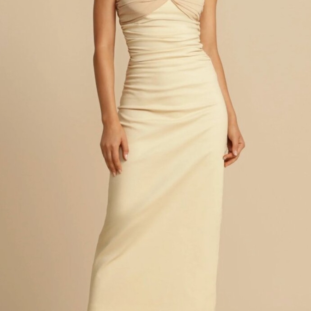 Arcina Ori Kinsley Dress Stone NWT